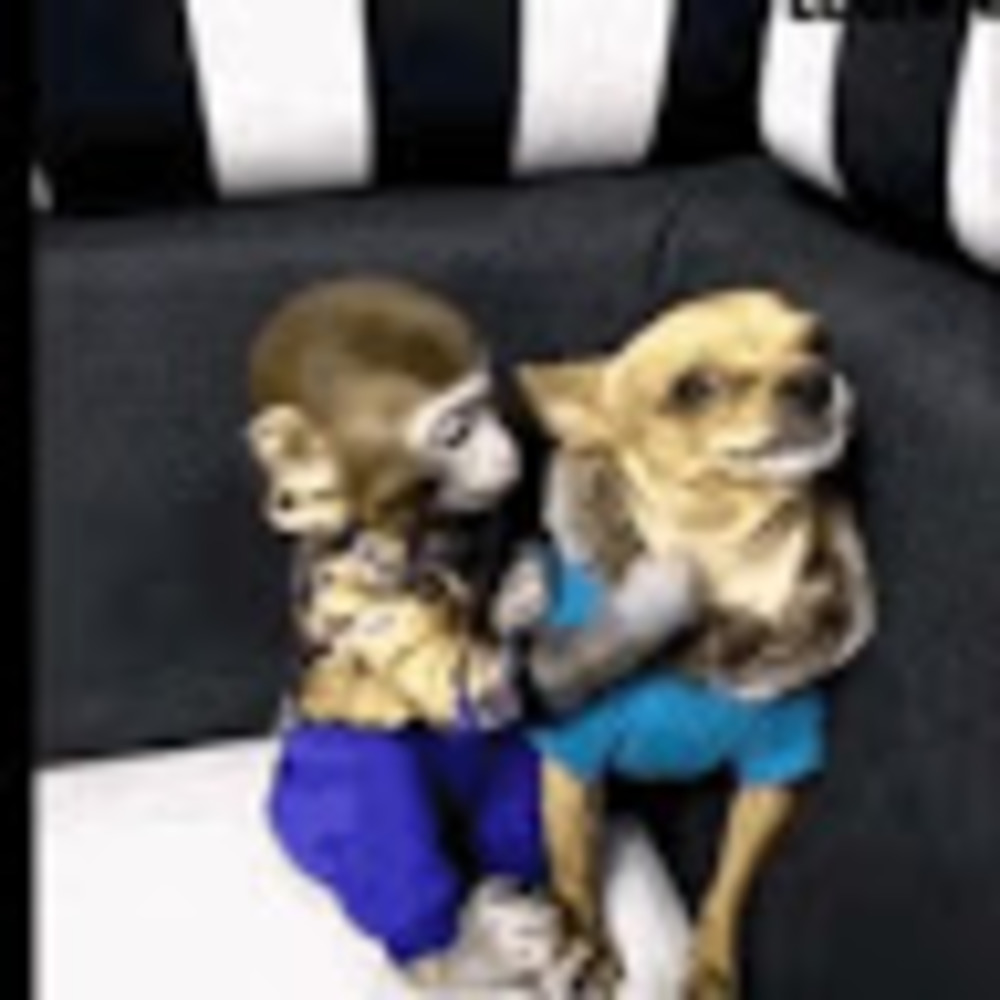 Meet your Posher, Angie